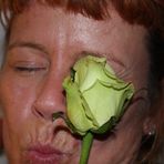 KEY LIME PIE ROSE KISS