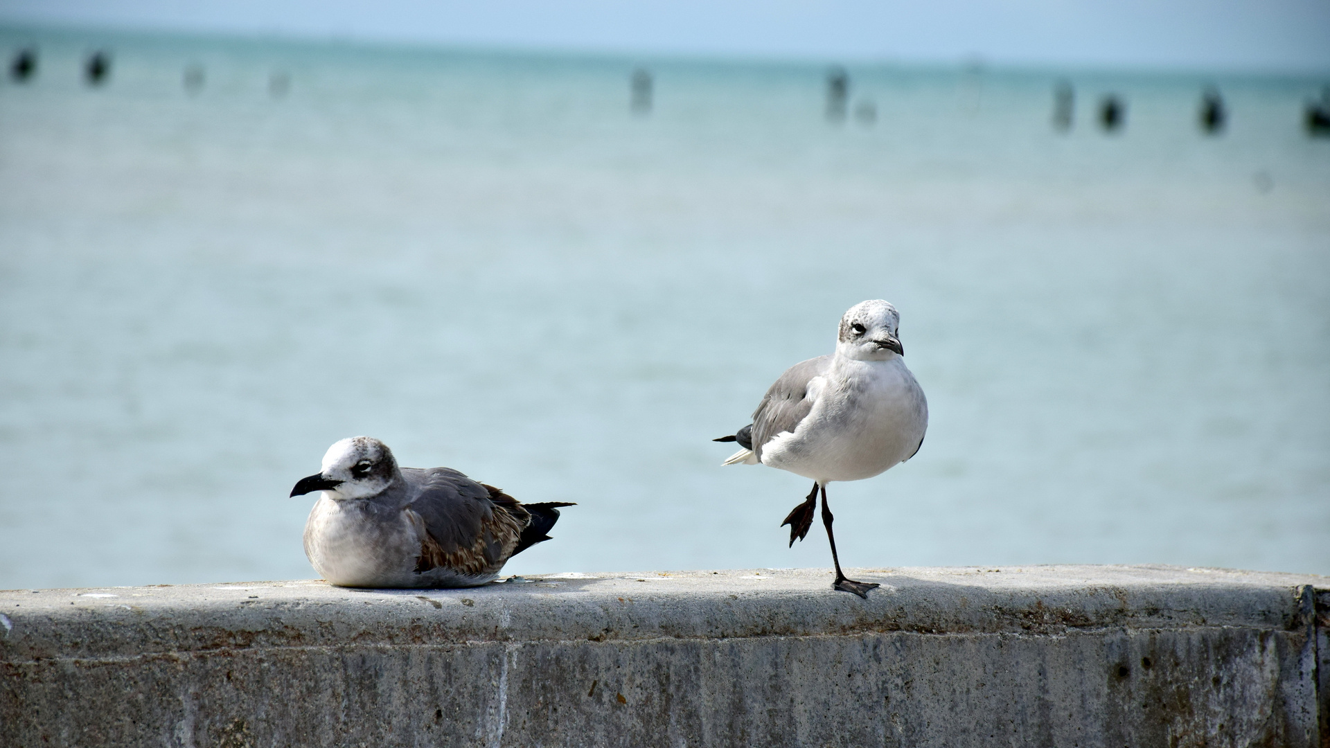 Key West