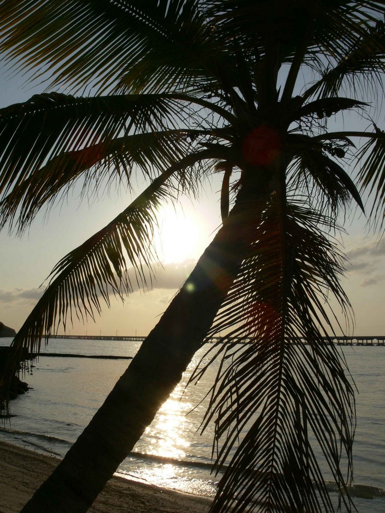 Key West / Florida