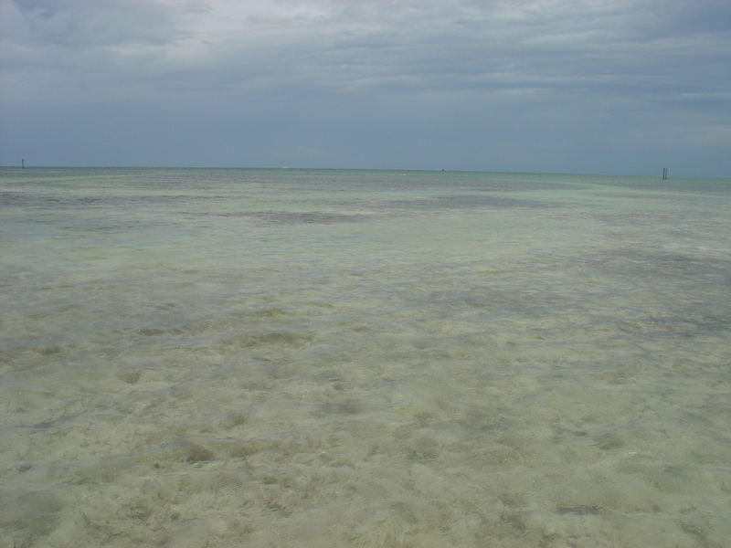 Key West luglio 2007, un mare che sembra deserto...