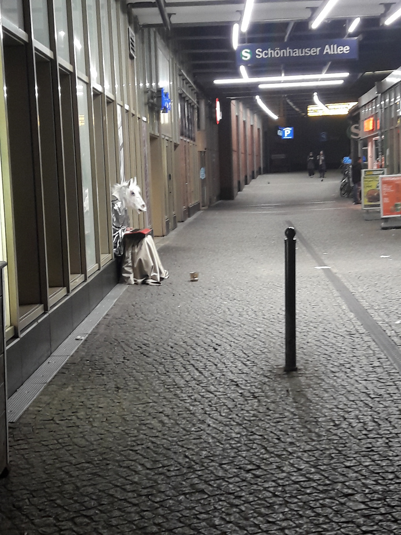 Keyboard spielende Ziege an Schönhauser Allee in Berlin-Prenzlauer Berg