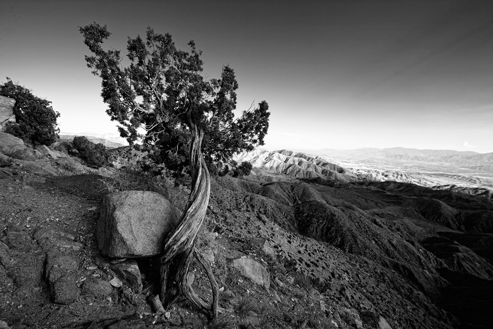 Keys View