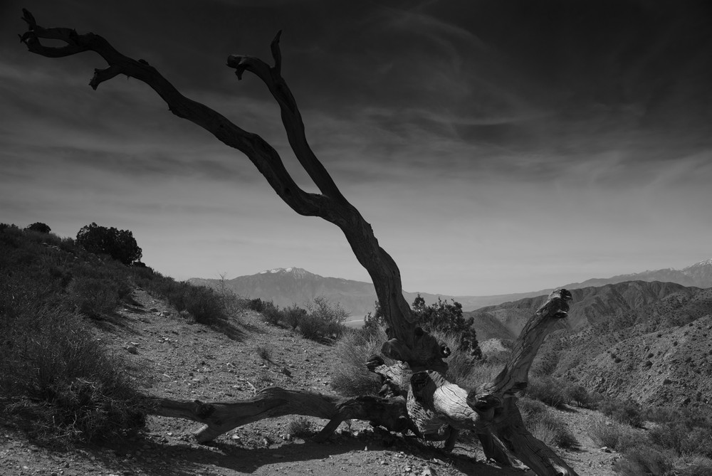 Keys View im Yoshua Tree N.P.