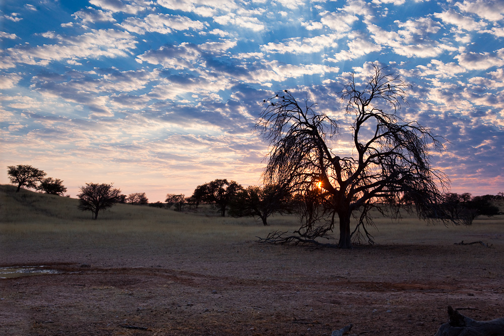 Kgalagadi Sunrise