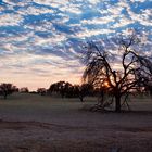 Kgalagadi Sunrise