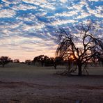 Kgalagadi Sunrise