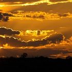 Kgalagadi Sunrise