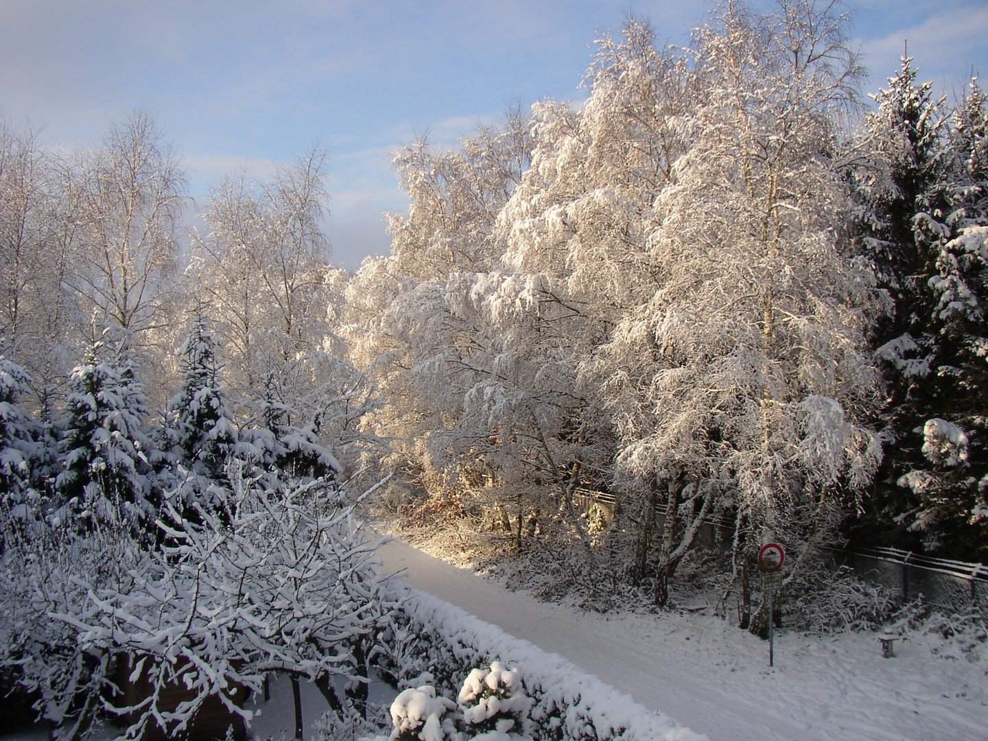 KGB im Schnee