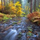 Khaa Valley Autumn