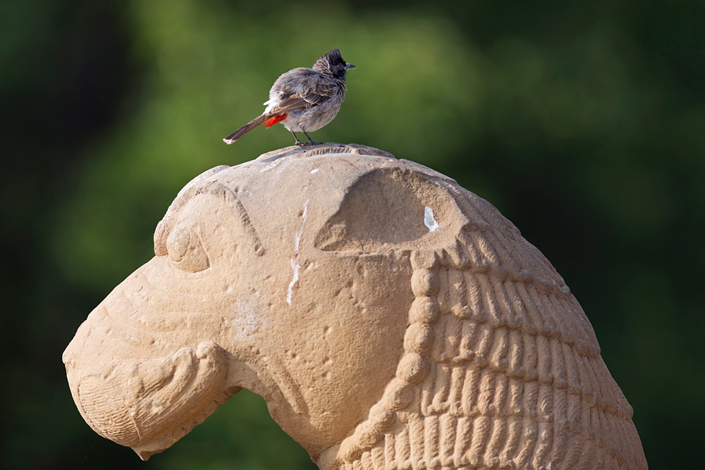 khajuraho...#3