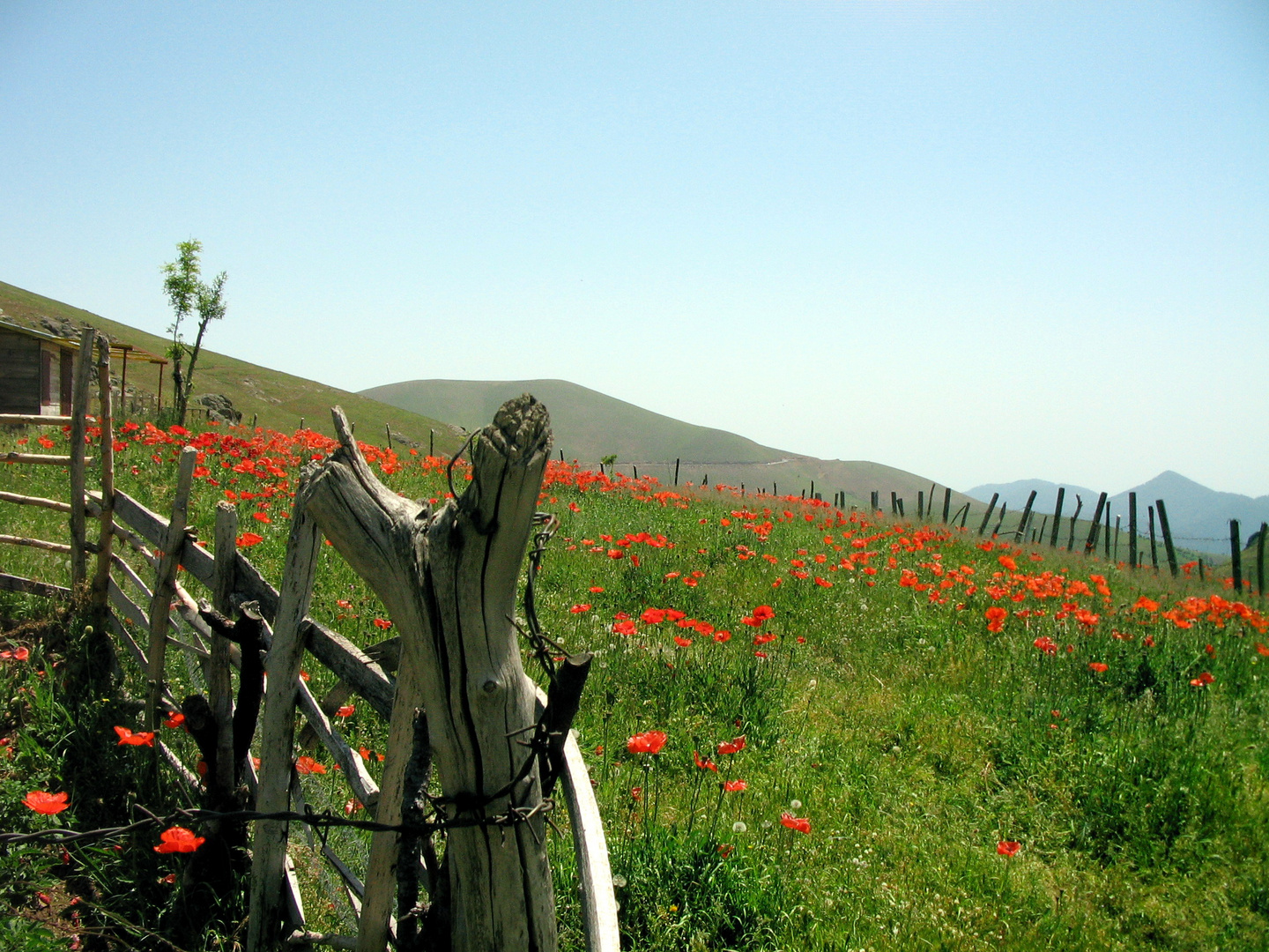 Khalkhal Road-Iran