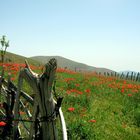 Khalkhal Road-Iran