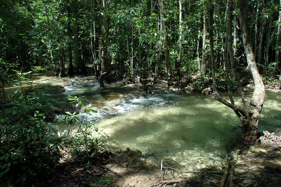 Khao Nor Chuchi Nationalpark