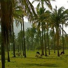 Khao Sam Roi Yot