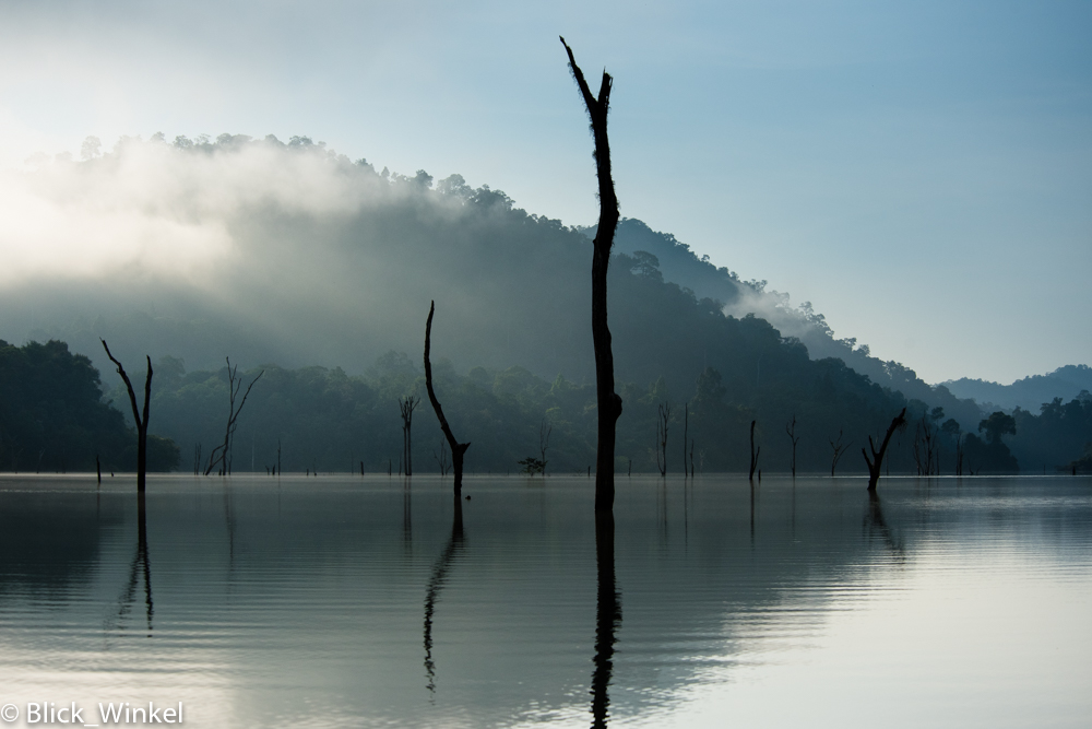 Khao Sok National Park