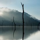 Khao Sok National Park