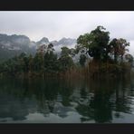 Khao Sok Nationalpark I