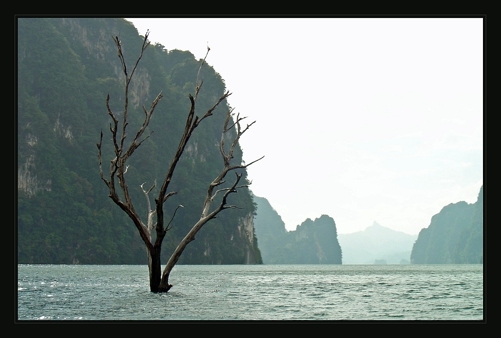 Khao Sok Nationalpark III