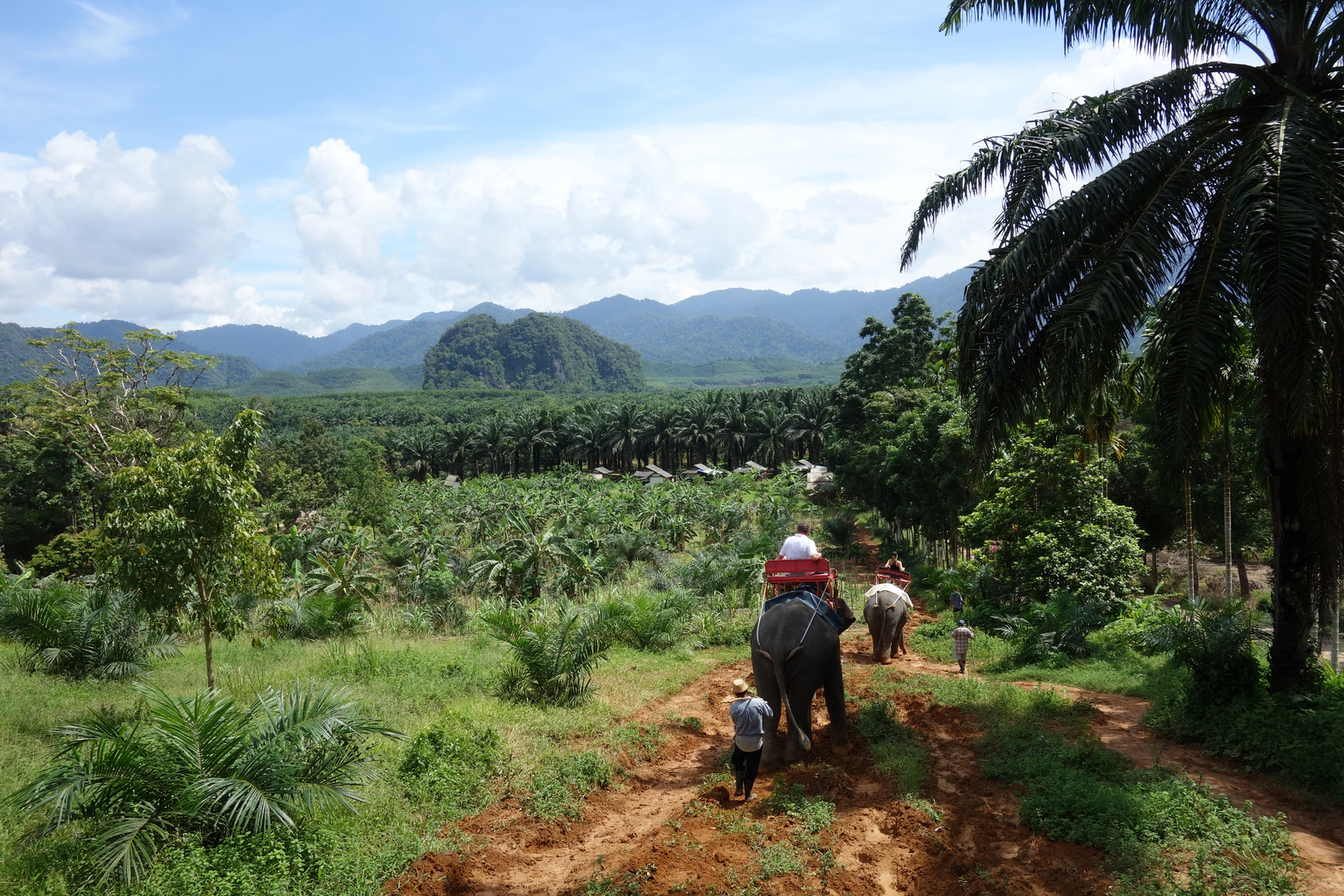 Khao Sok N.P. Thailand