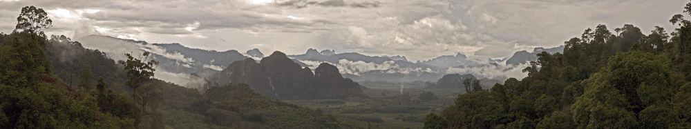 khao sok regenwald