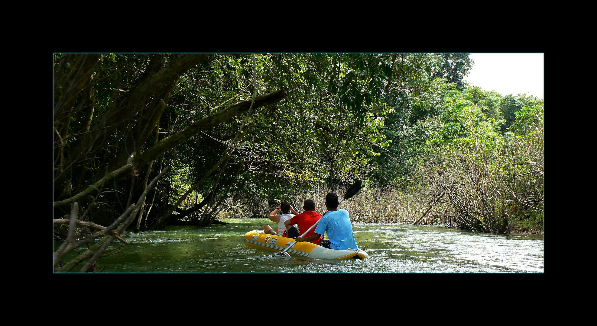 - Khao Sok River II -