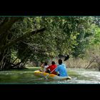 - Khao Sok River II -