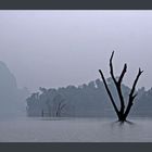 Khao Sok Stausee V