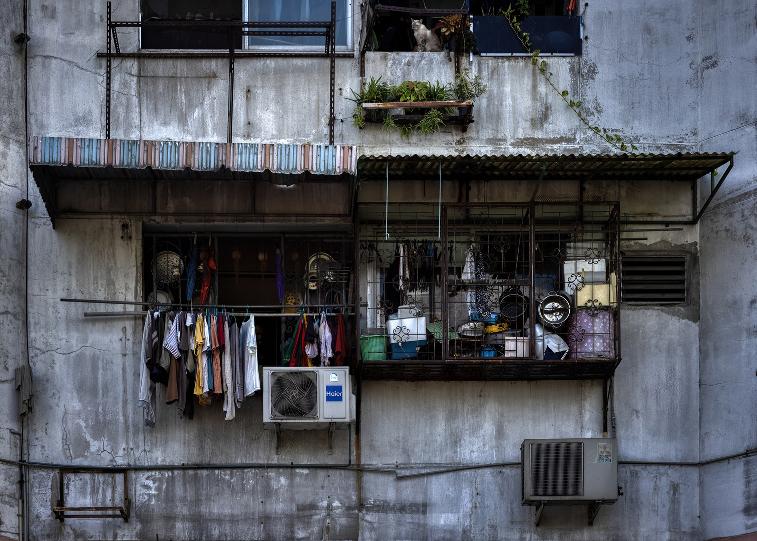 Khlong-Wohn(g) Nummer 1 mit Katze