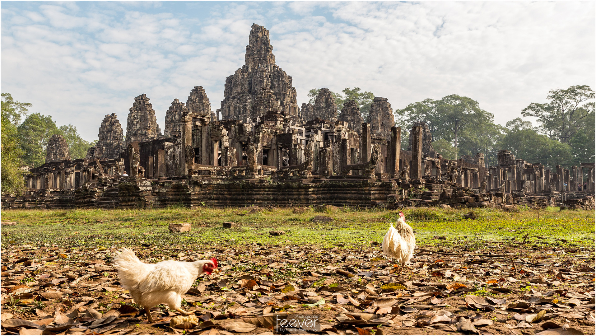 Khmer Hühner
