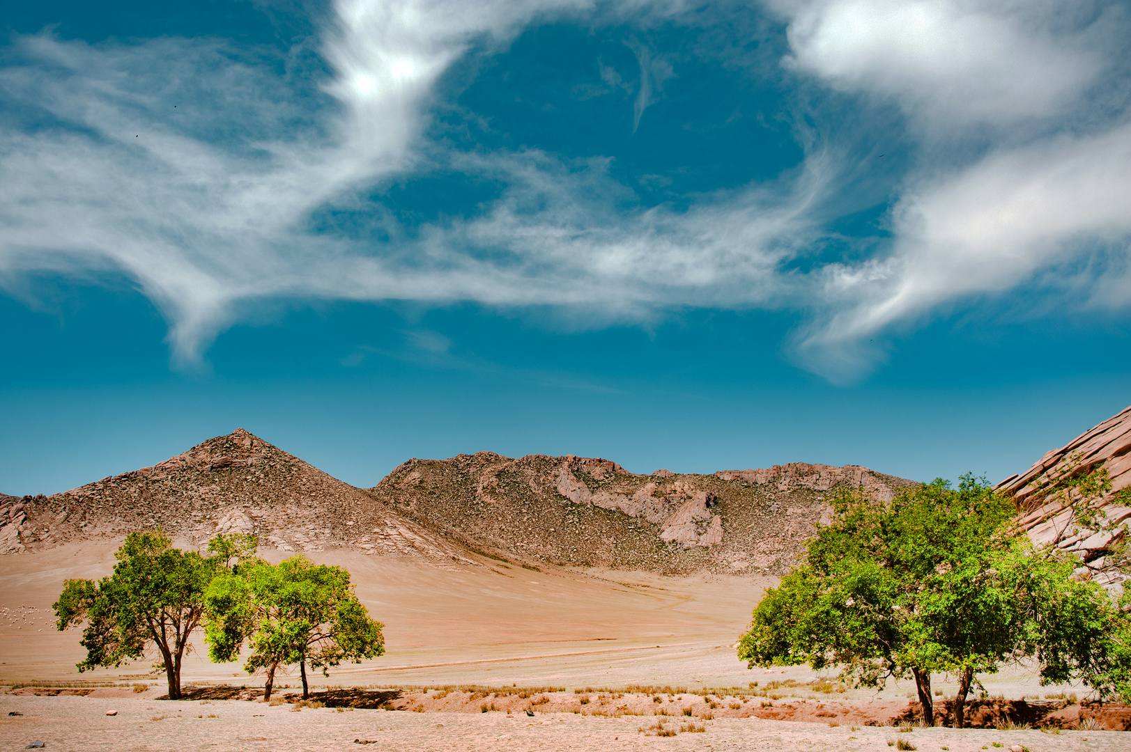 Khustain Nuruu National Park