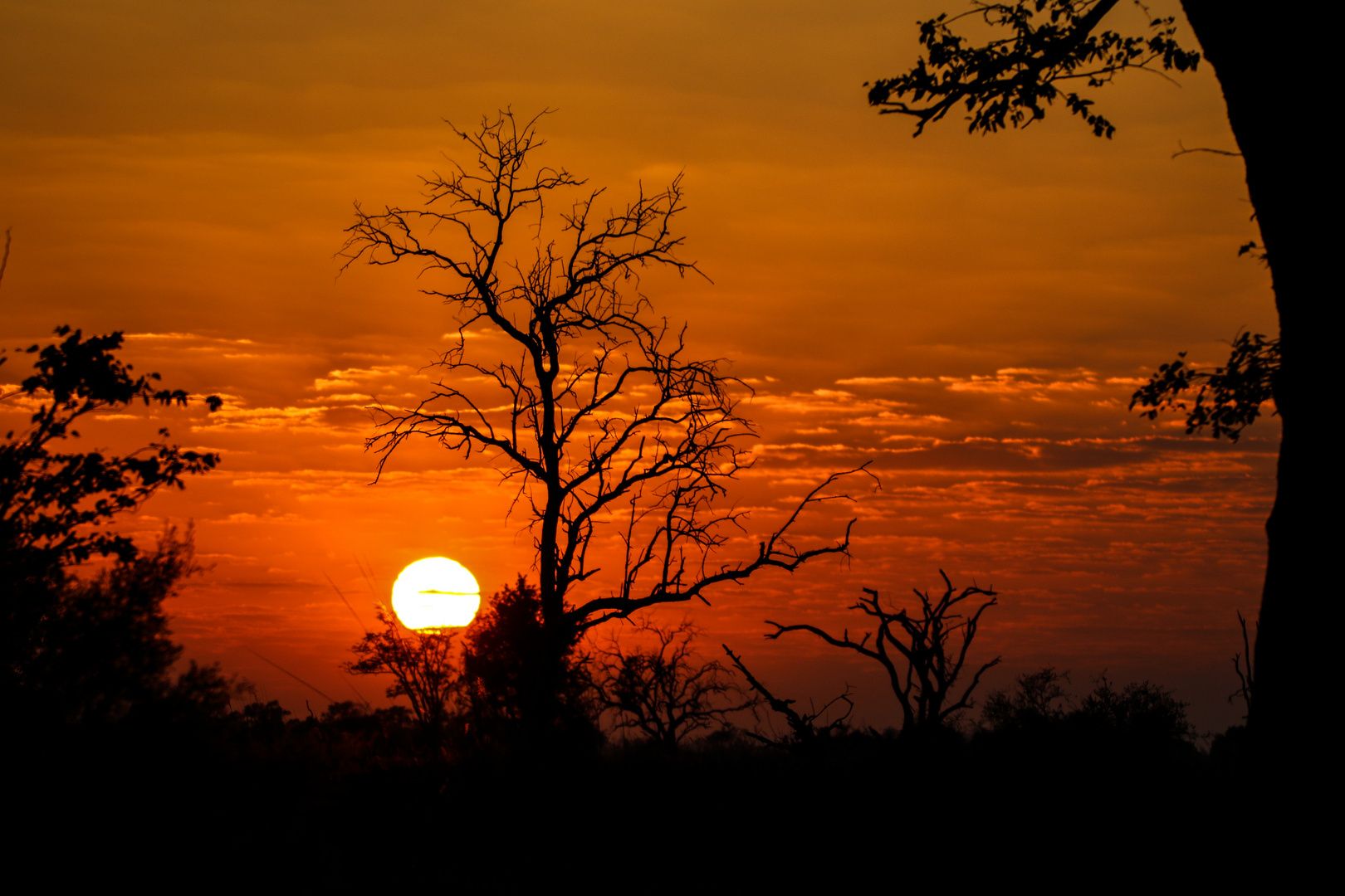 Khwai, Moremi Game Reserve