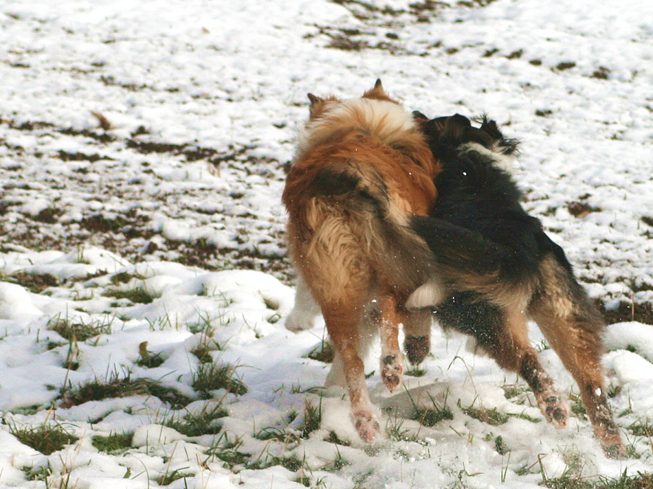 Kiara und Timo