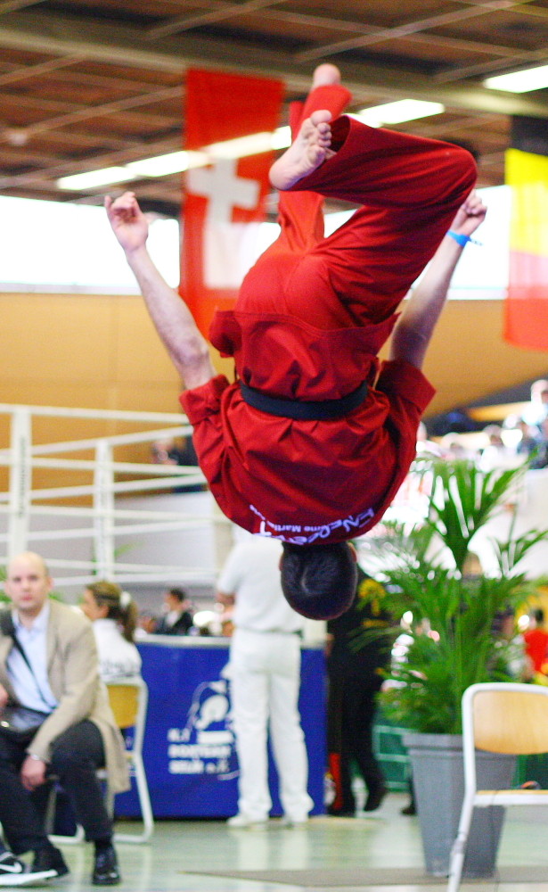 Kickboxen IDM 2009, Musikformen