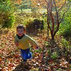 Kickin Up The Leaves