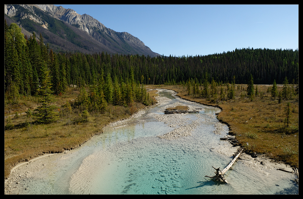 [ Kicking Horse River ]