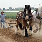 Kicking Up Dust