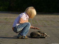 Kid and cat