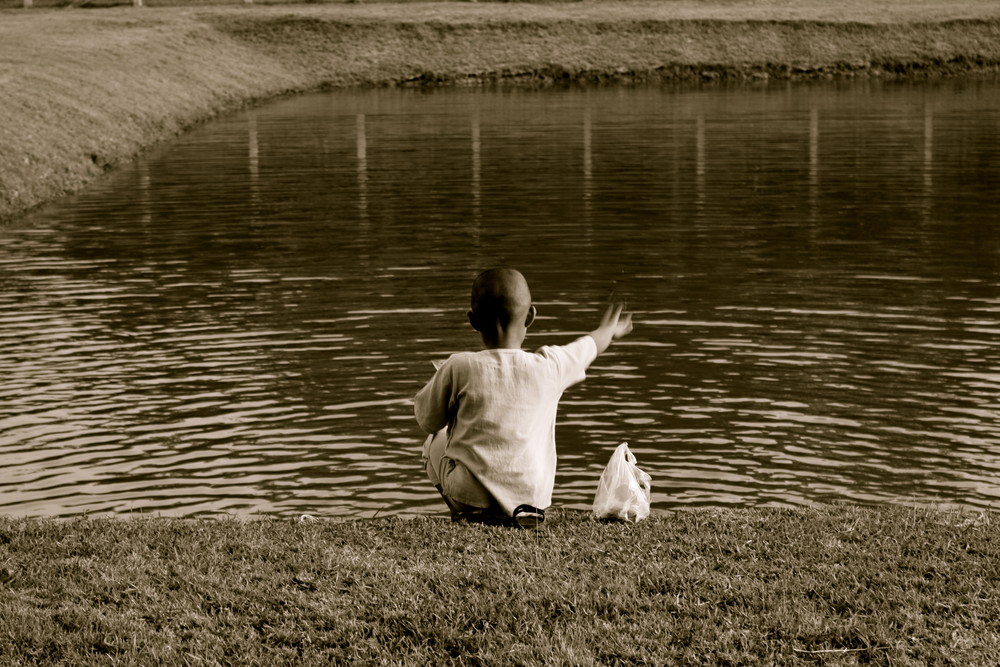 Kid and ducks