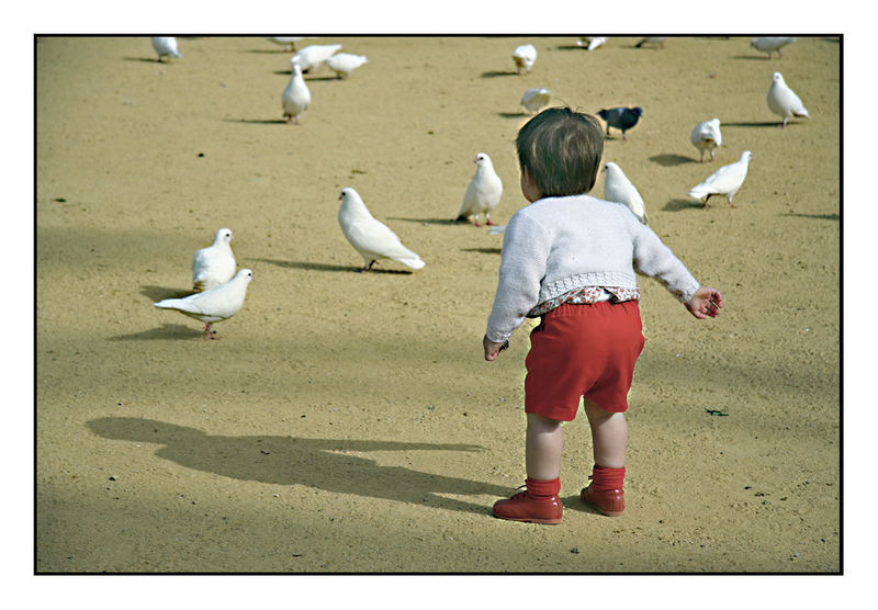 Kid and pigeons