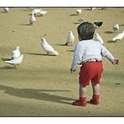 Kid and pigeons