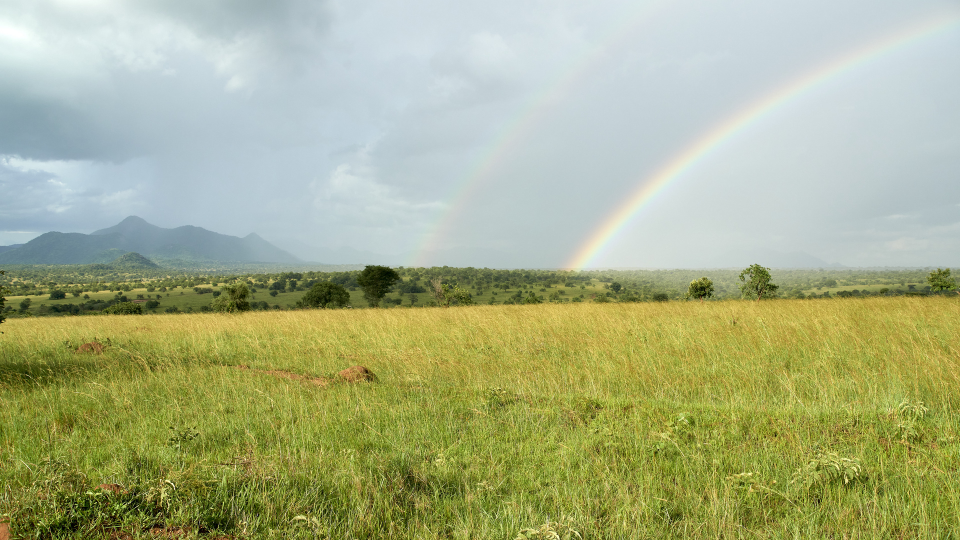 Kidepo Nationalpark