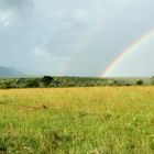 Kidepo Nationalpark