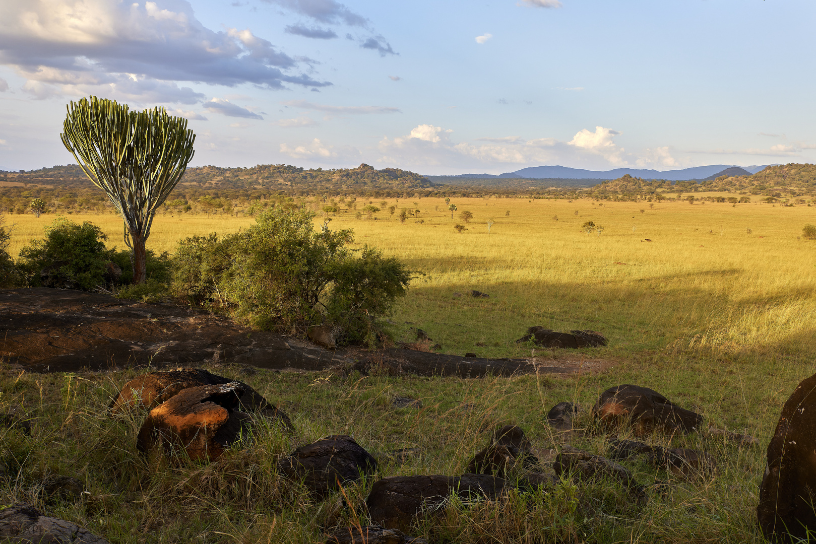 Kidepo valley NP/ Uganda