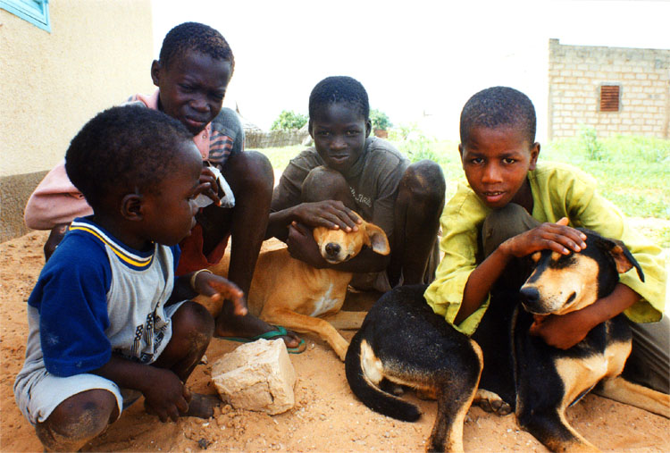 Kids and dogs - Bayakh