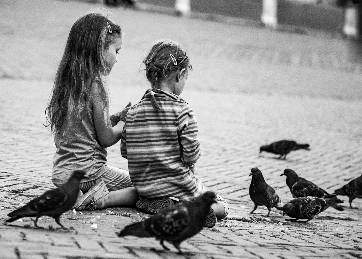 Kids and Pigeons