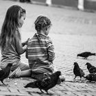 Kids and Pigeons