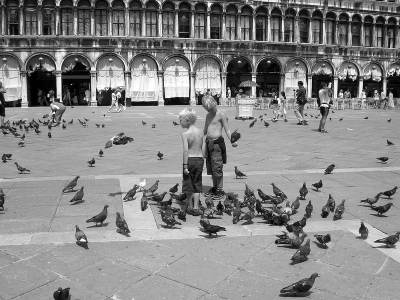 kids at St. Mark's Square