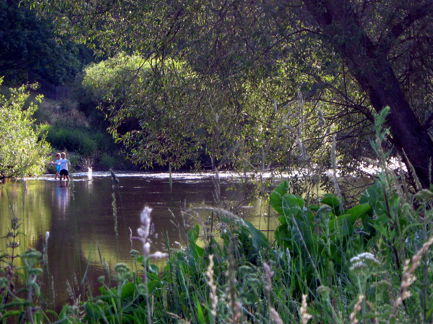 Kids at the lake