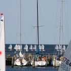 Kids beim ersten Segeltörn