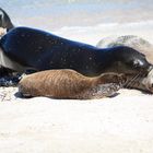 Kids care on the beach